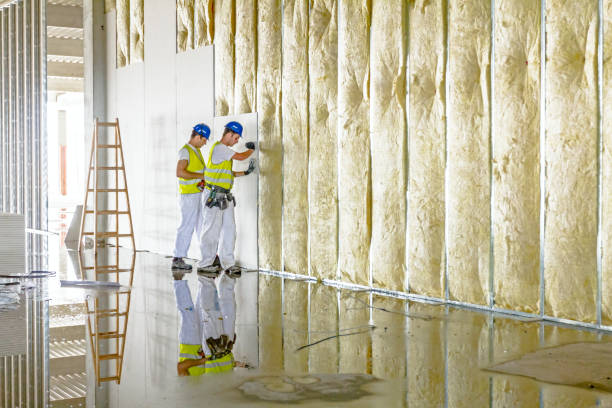 Best DIY Insulation Kits and Guidance in Rutherfordton, NC